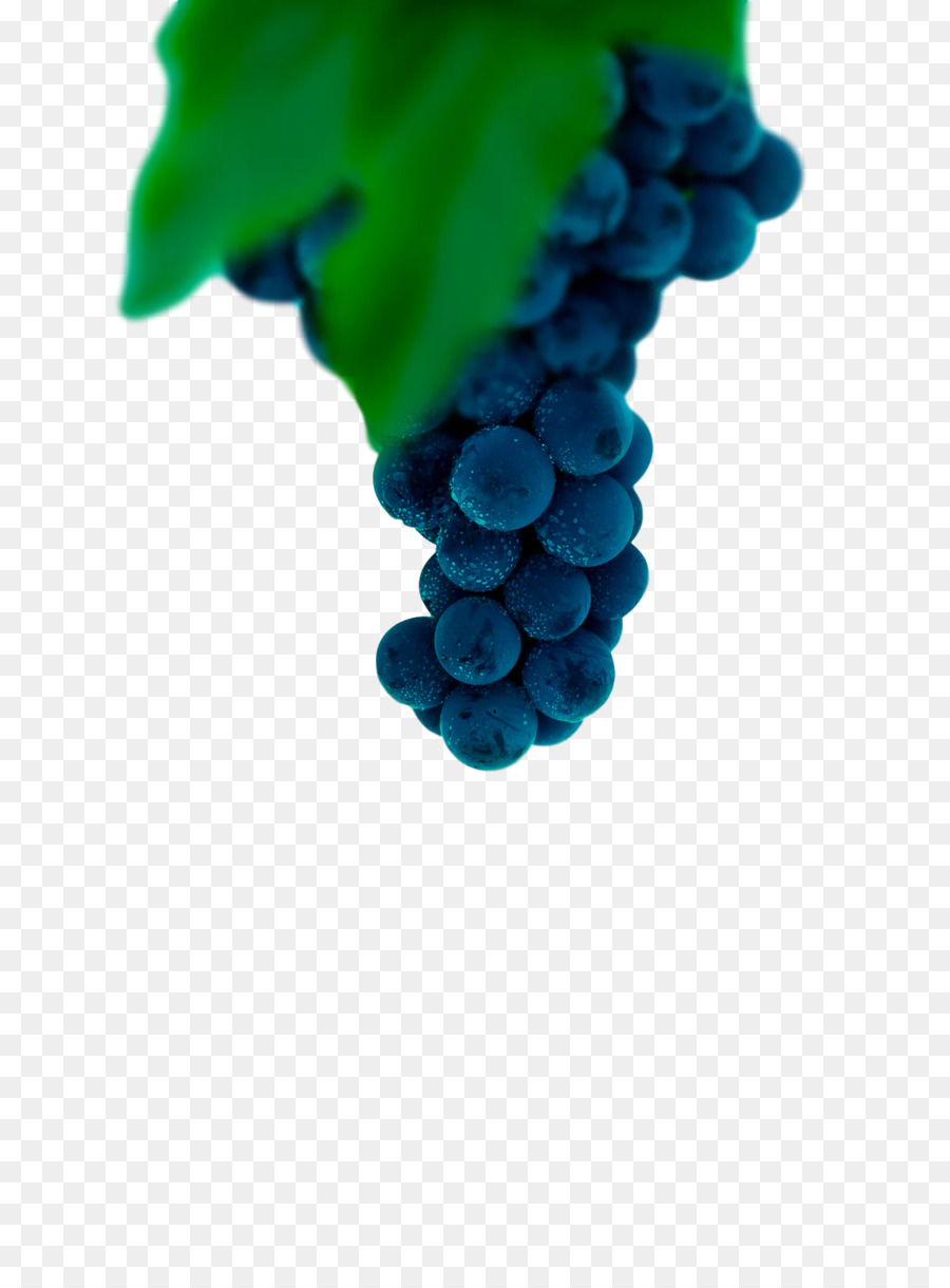 Uva，Grapevines PNG