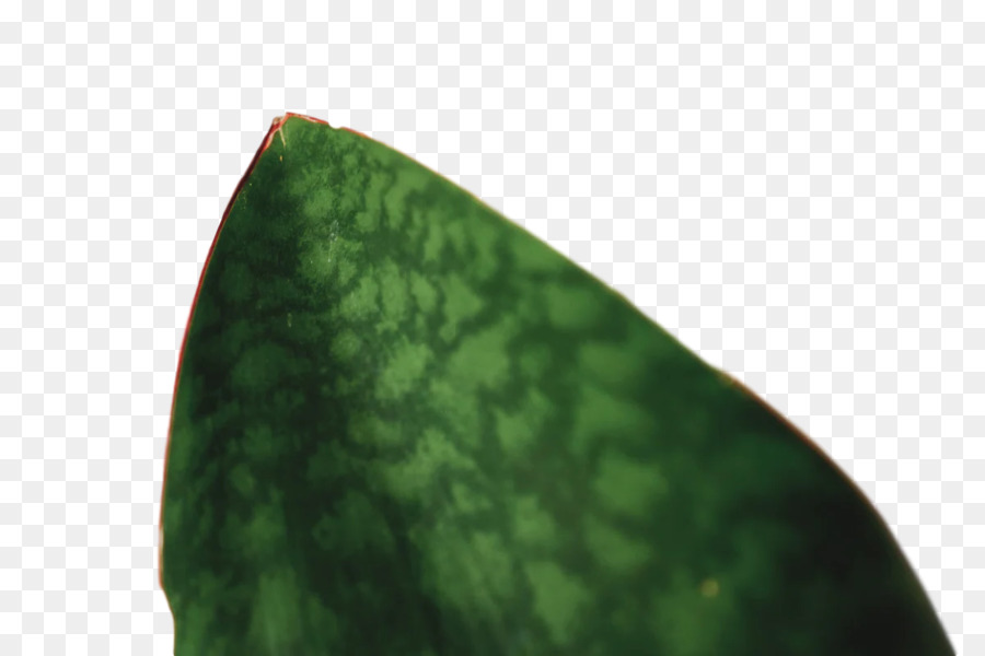 Hoja，Verde PNG