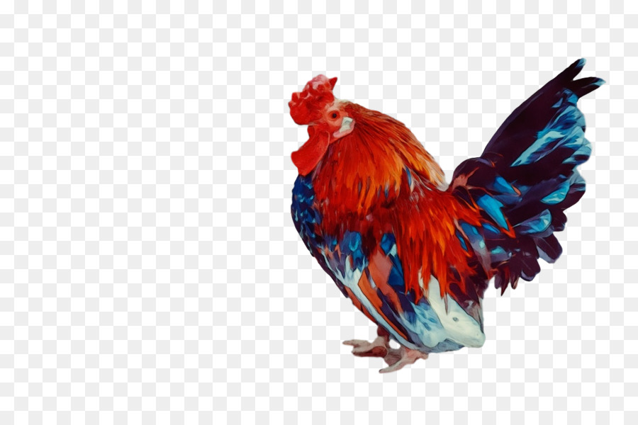 Las Aves，Pollo PNG