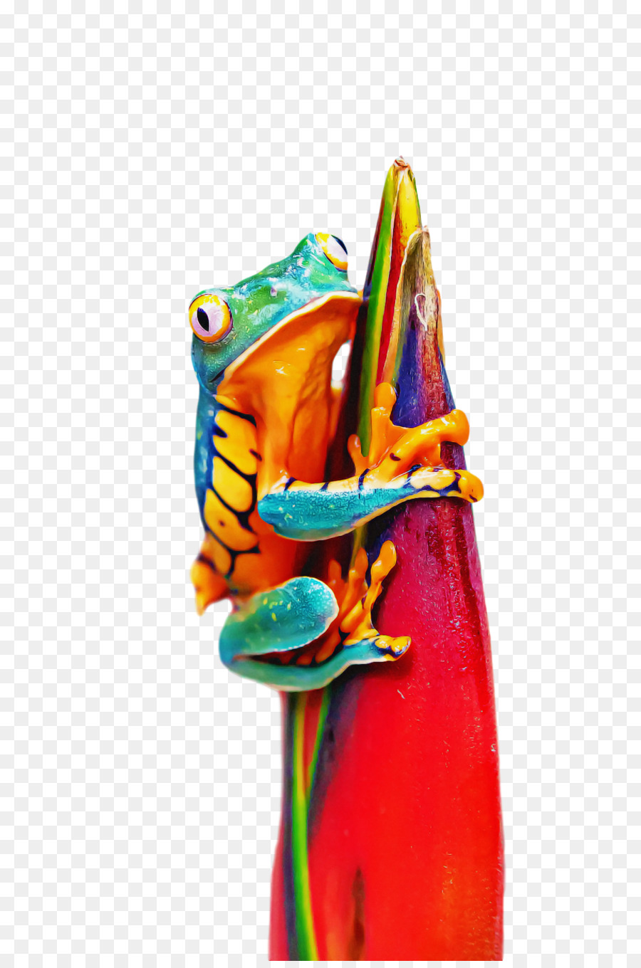 Articulación，Figurilla PNG