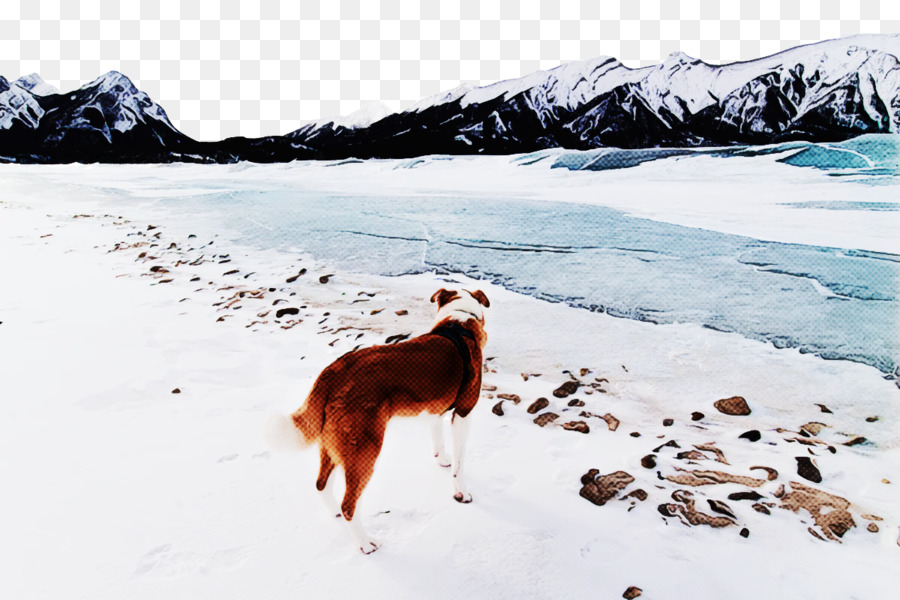 Perro，Forma Glacial PNG