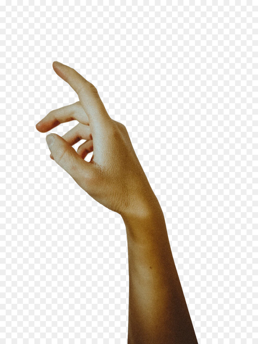 Articulación，De La Mano De La Modelo PNG