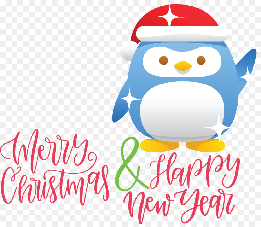 Christmas Day，Aves PNG