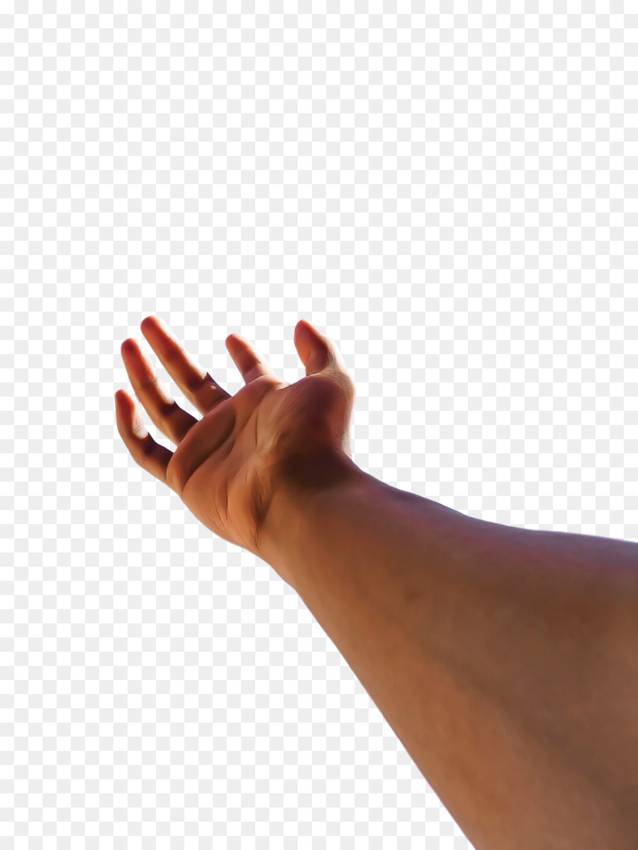 De La Mano De La Modelo，Seguridad Guante PNG