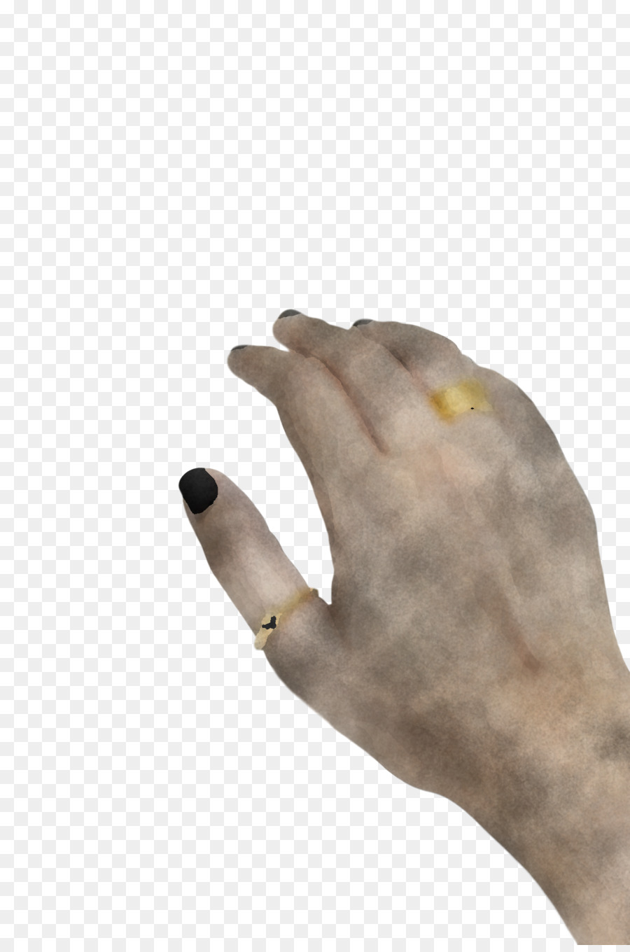 De La Mano De La Modelo，Primer Plano PNG