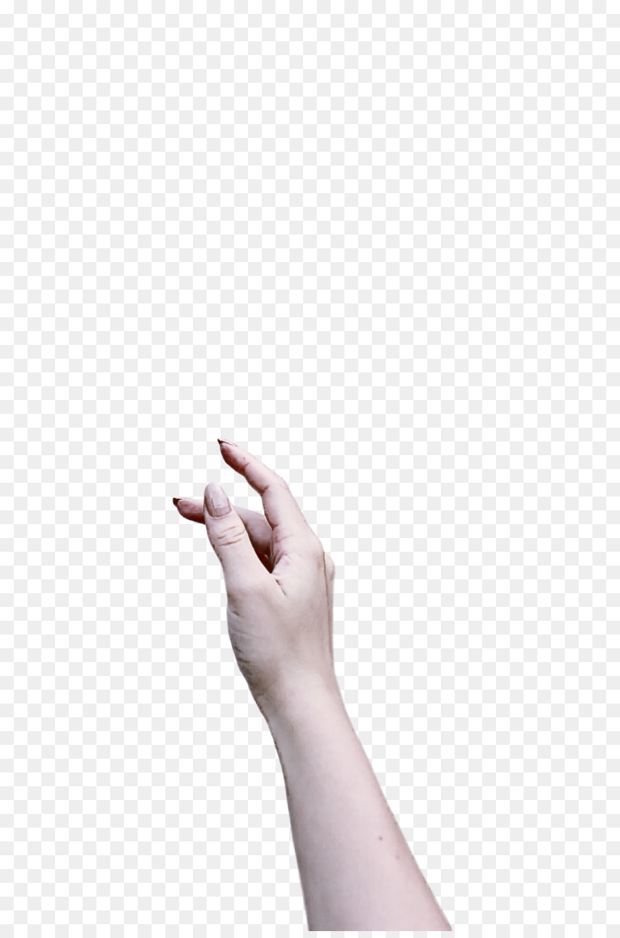 Mano，Dedos PNG