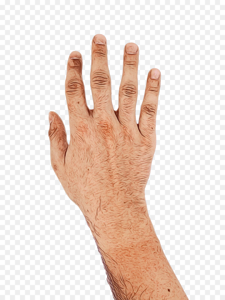 De La Mano De La Modelo，Seguridad Guante PNG