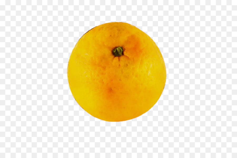 Naranja，Cocina Vegetariana PNG