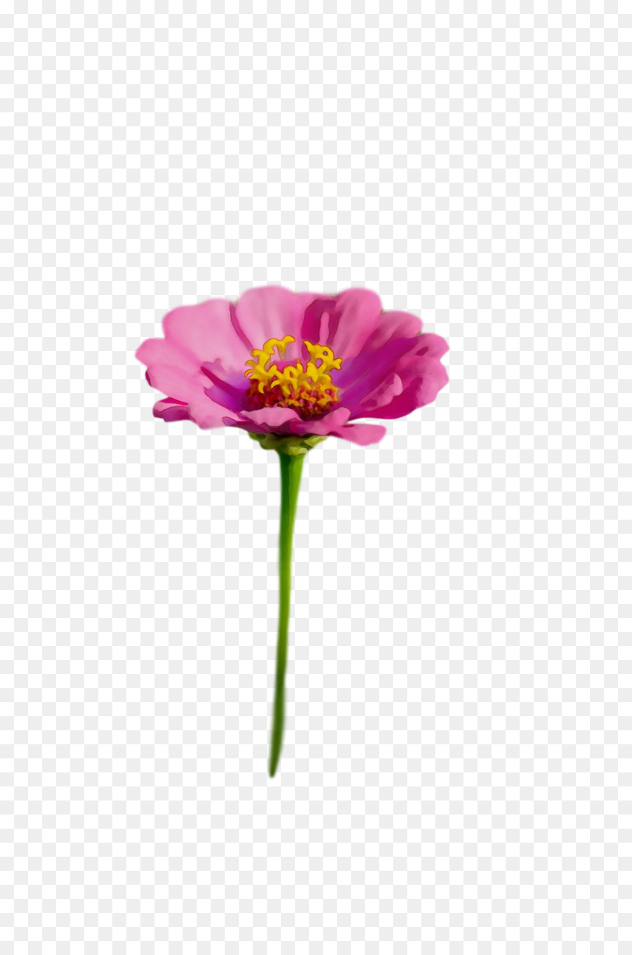 Vástago，Cortar Flores PNG