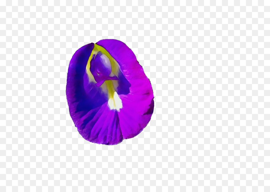 Magenta，Pétalo PNG