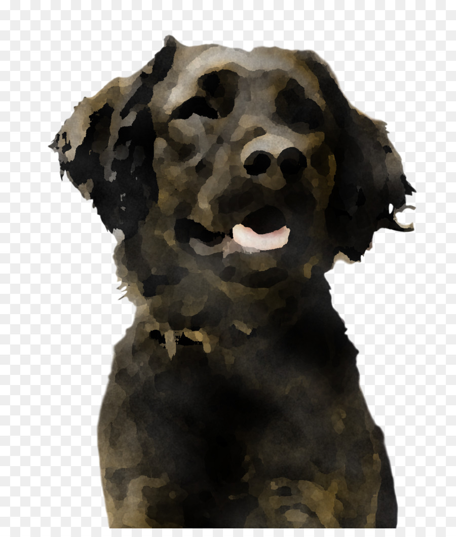 Perro，Hocico PNG