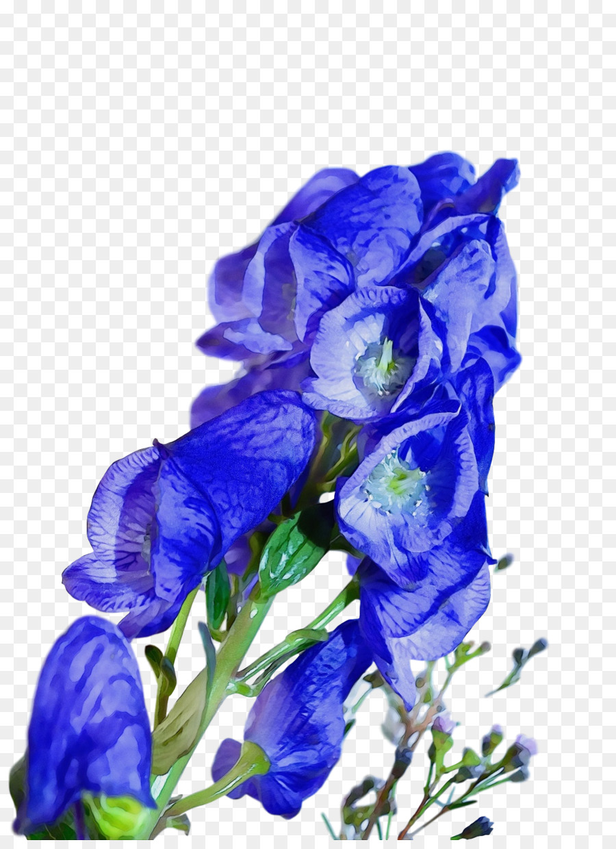 Flores Azules，Florecer PNG