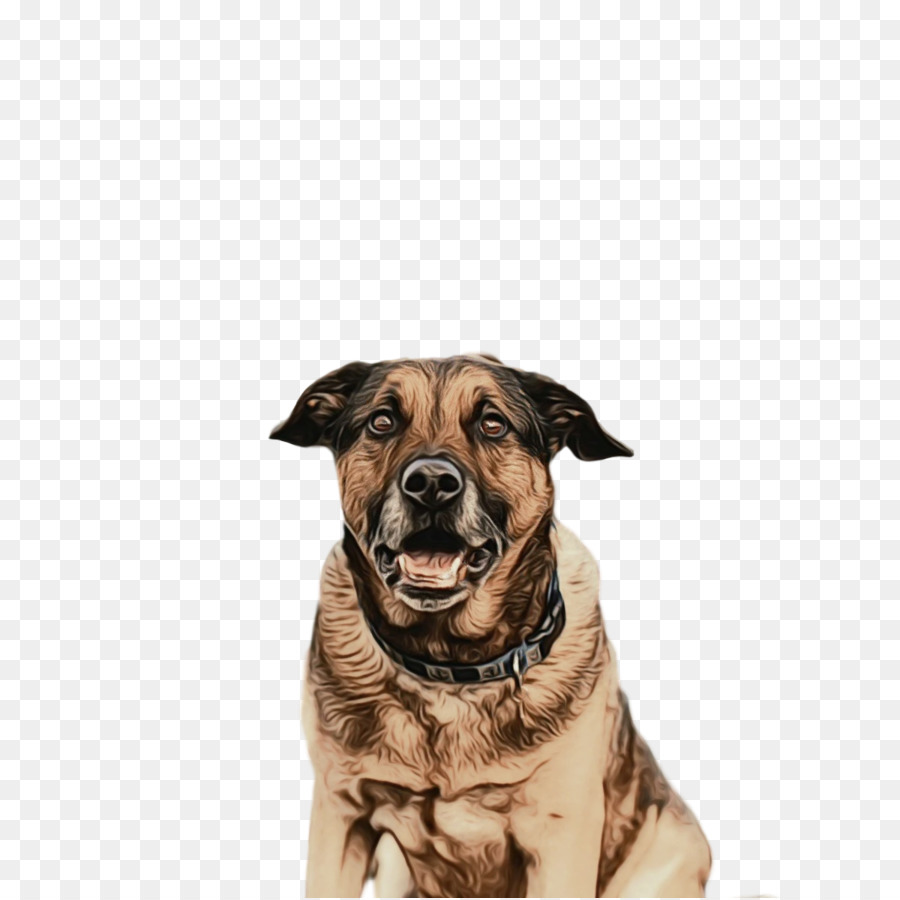 Perro，Feliz PNG