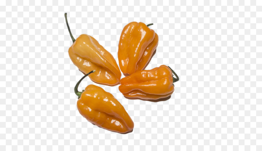 Pimientos，Habanero PNG