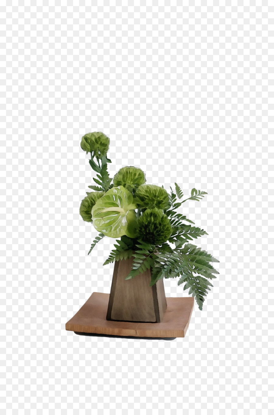 Diseño Floral，Planta De Interior PNG