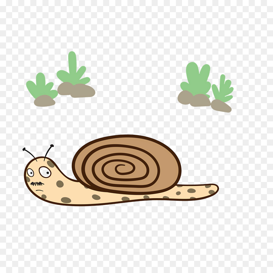 Gasterópodos，Caracol PNG