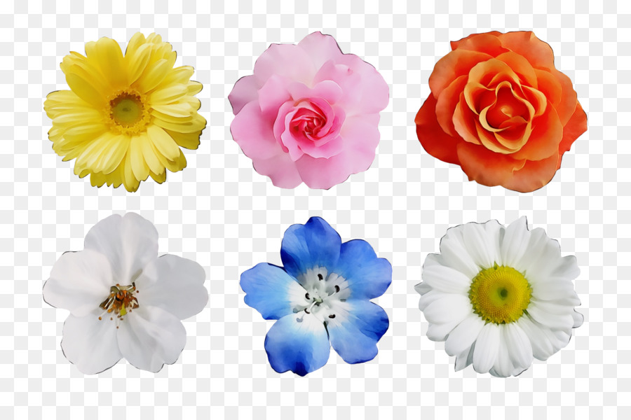 Diseño Floral，Las Flores Cortadas PNG