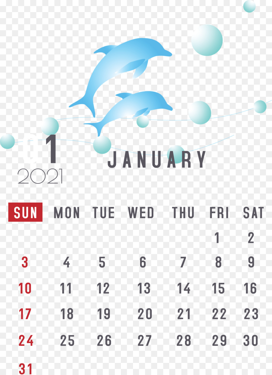Delfín，Sistema De Calendario PNG