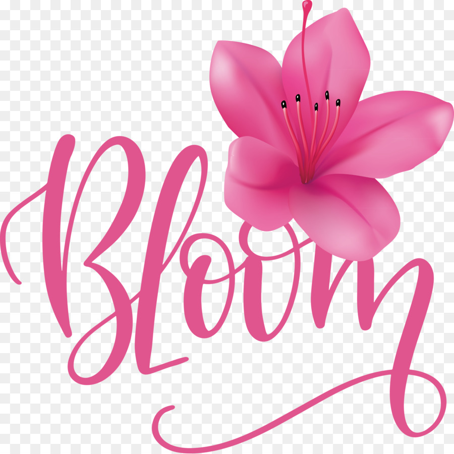 Las Flores Cortadas，Texto PNG