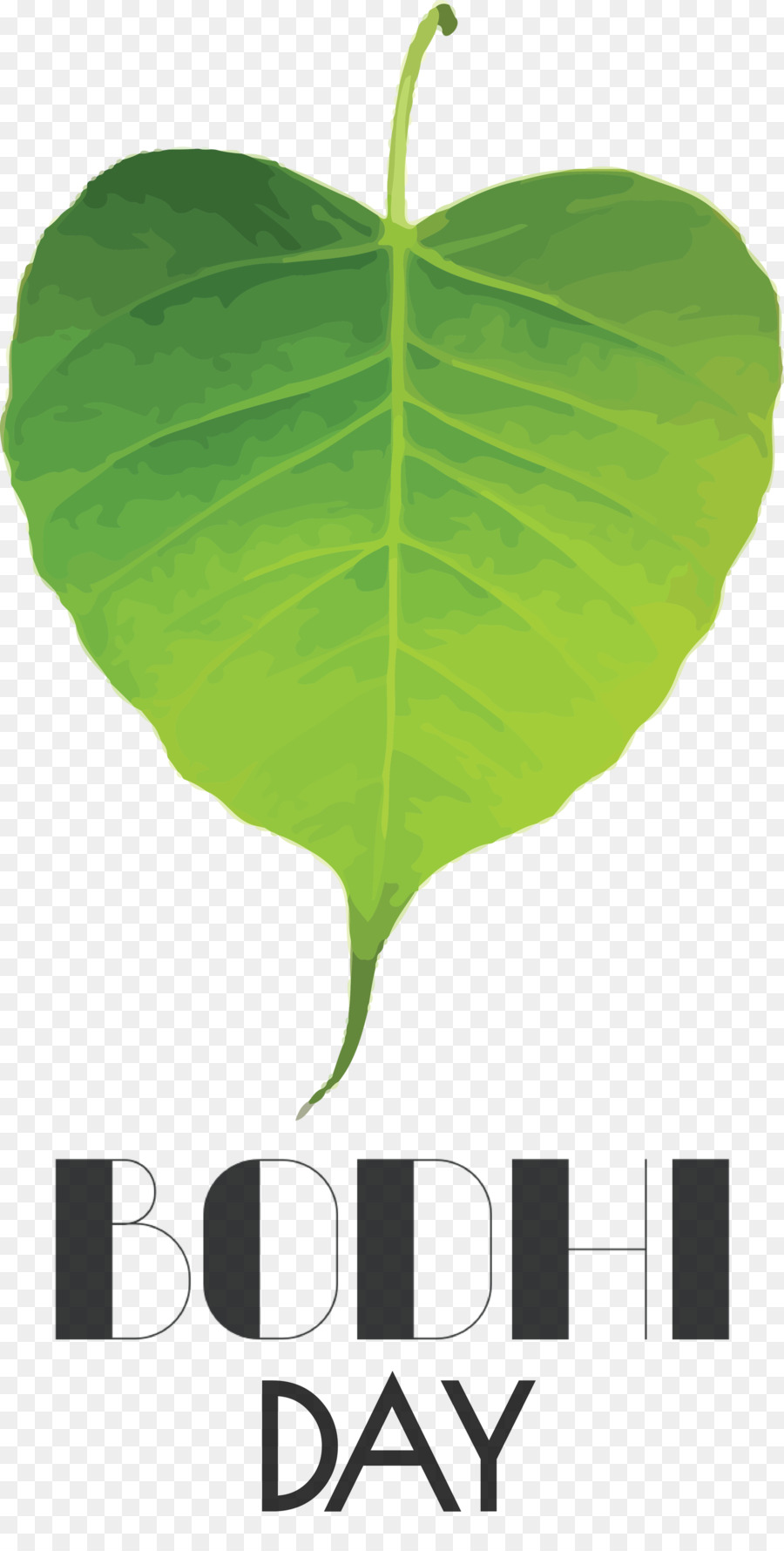 Hoja，Tallo De La Planta PNG