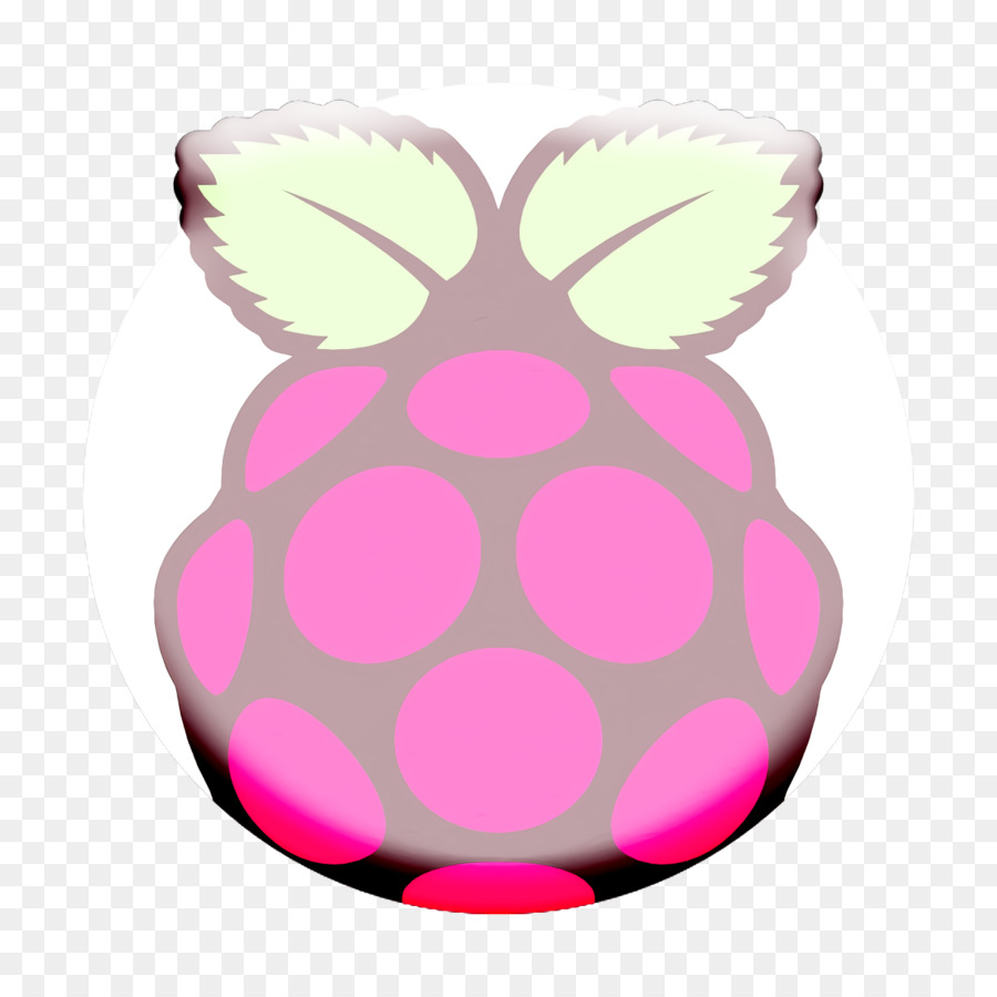Raspberry Pi，Frambuesa Pi Os PNG