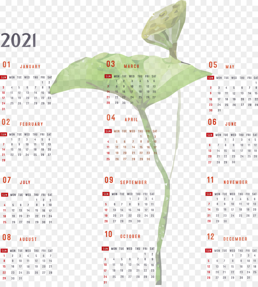 Medidor De，Sistema De Calendario PNG