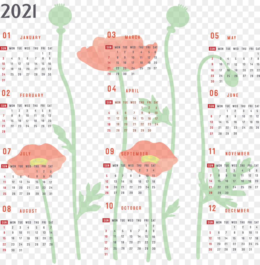 Medidor De，Sistema De Calendario PNG