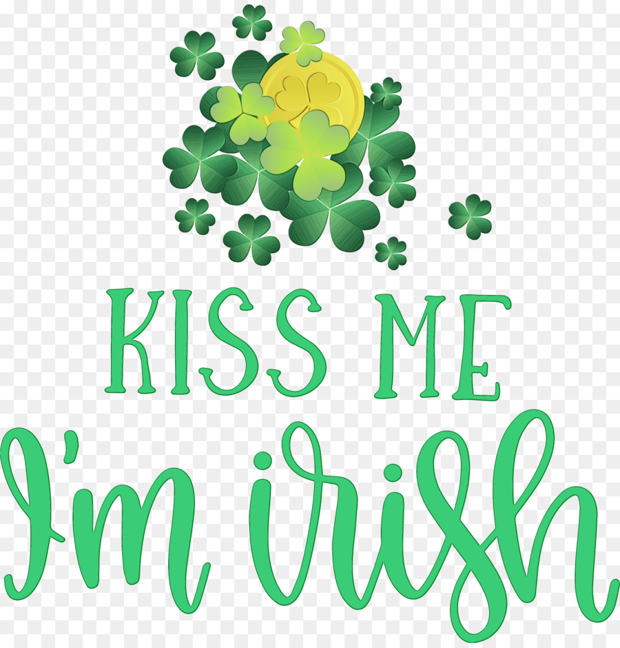 El Día De San Patricio，Shamrock PNG