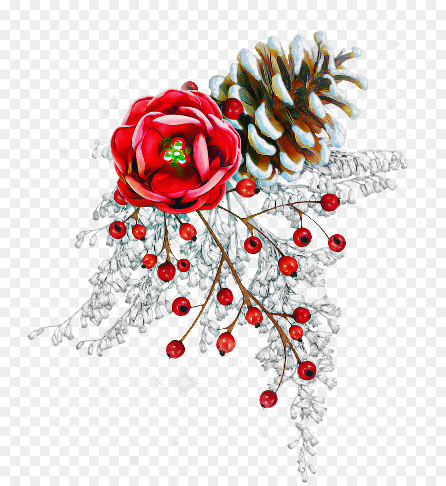 Diseño Floral，Familia De Las Rosas PNG