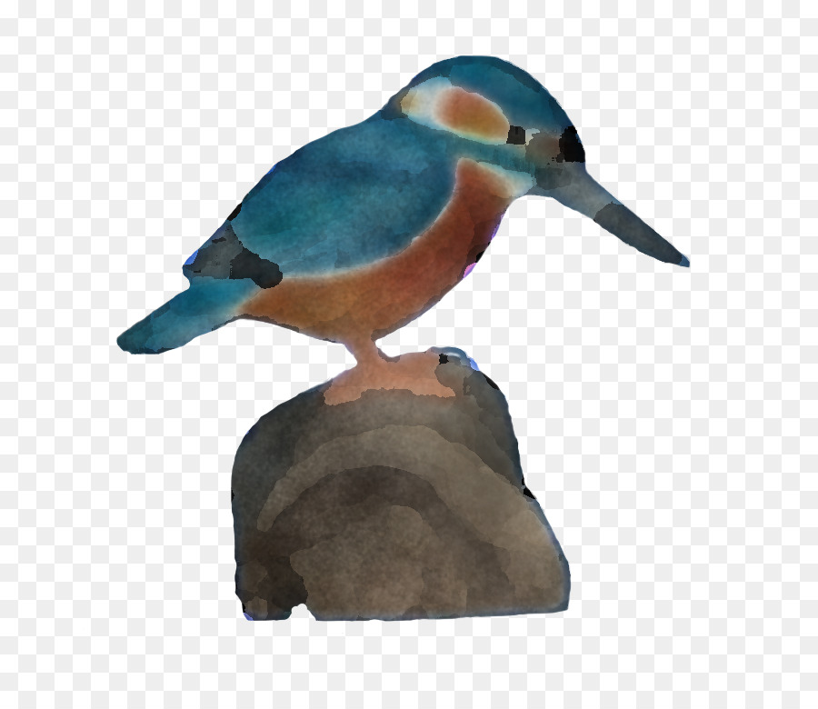 Aves，Pato PNG