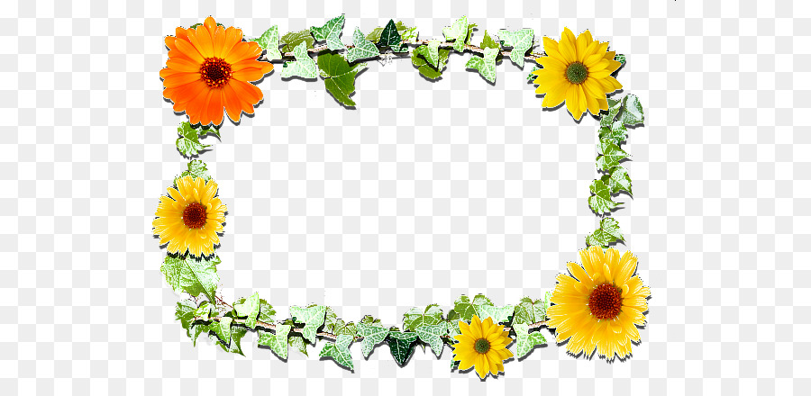 Diseño Floral，Daisy Familia PNG