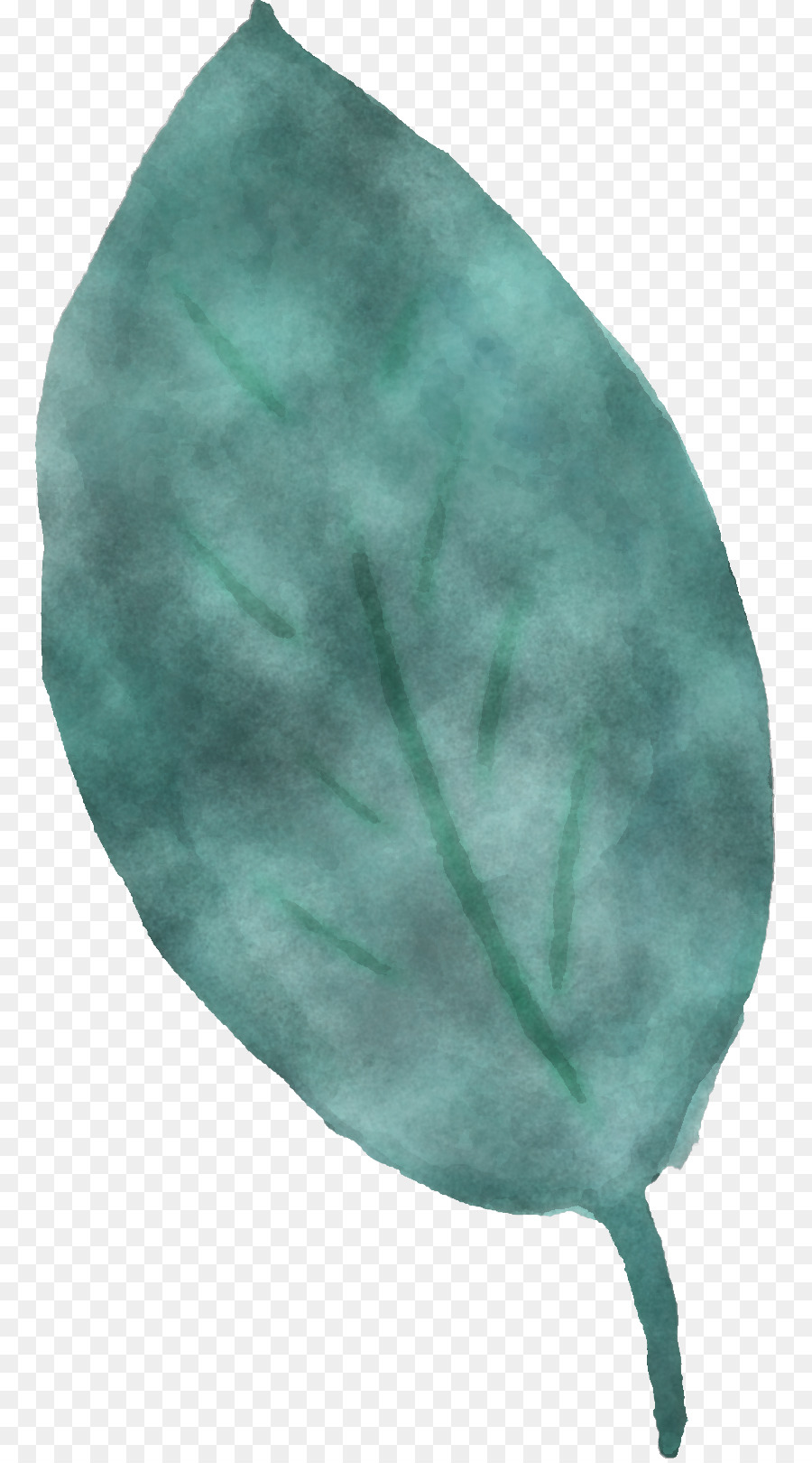 Hoja，Verde PNG