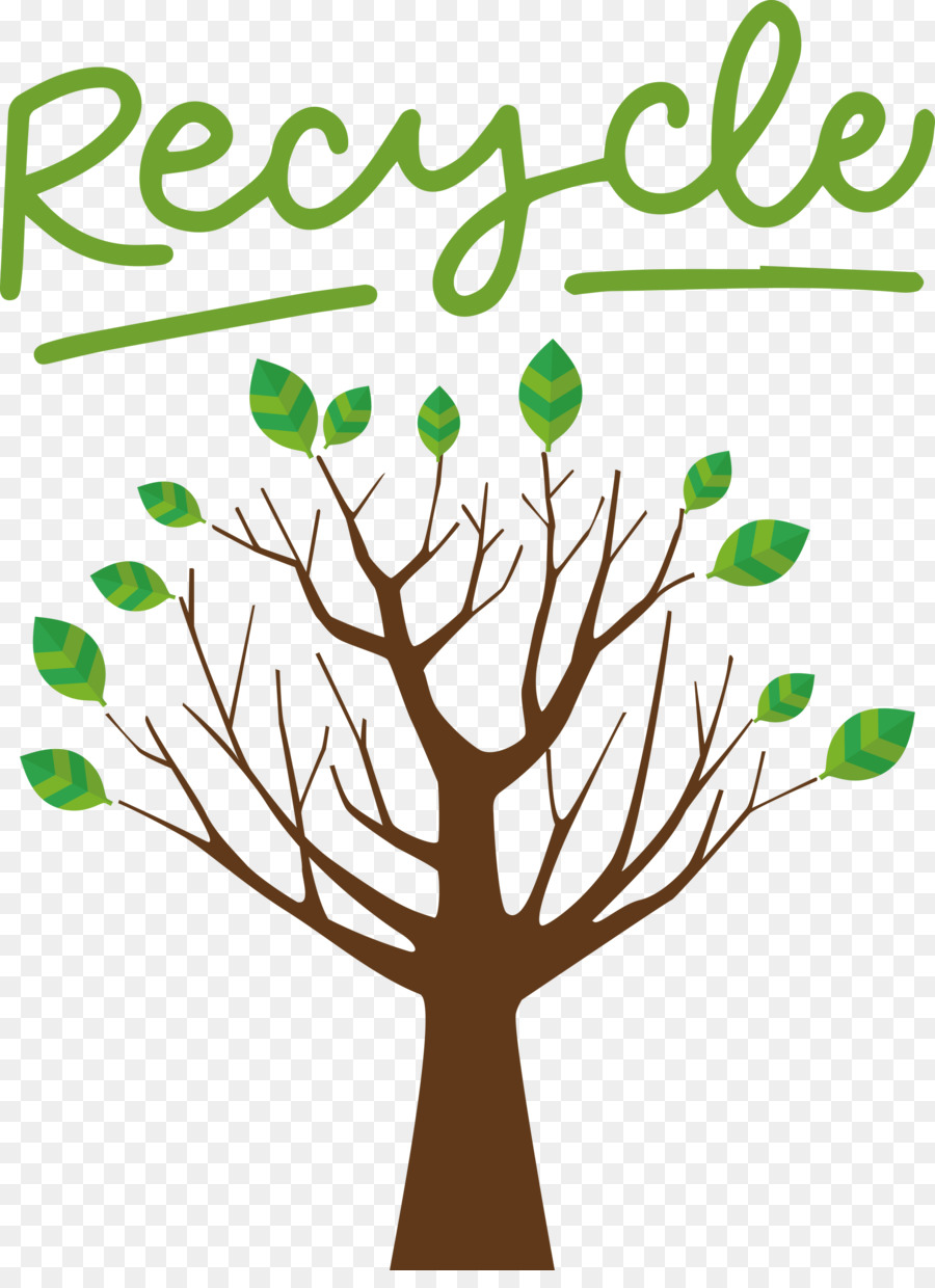 Árbol，árbol De Frondosas PNG