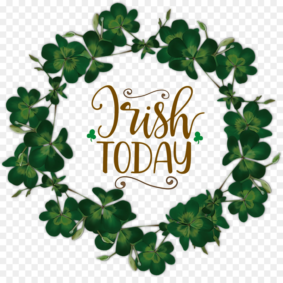 El Día De San Patricio，Shamrock PNG