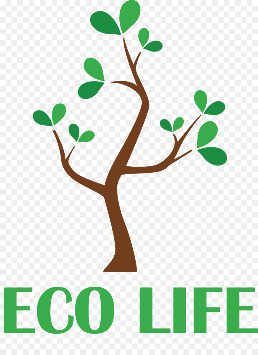 Árbol，Ecológico PNG