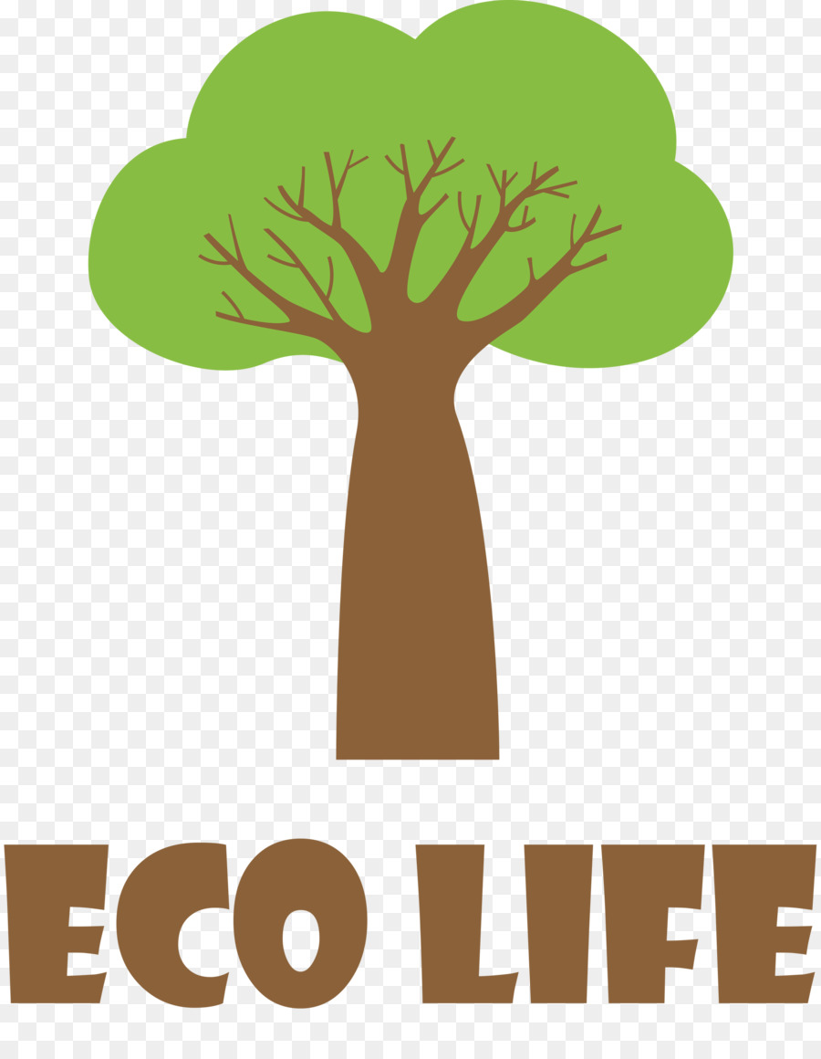 Árbol，Ecológico PNG