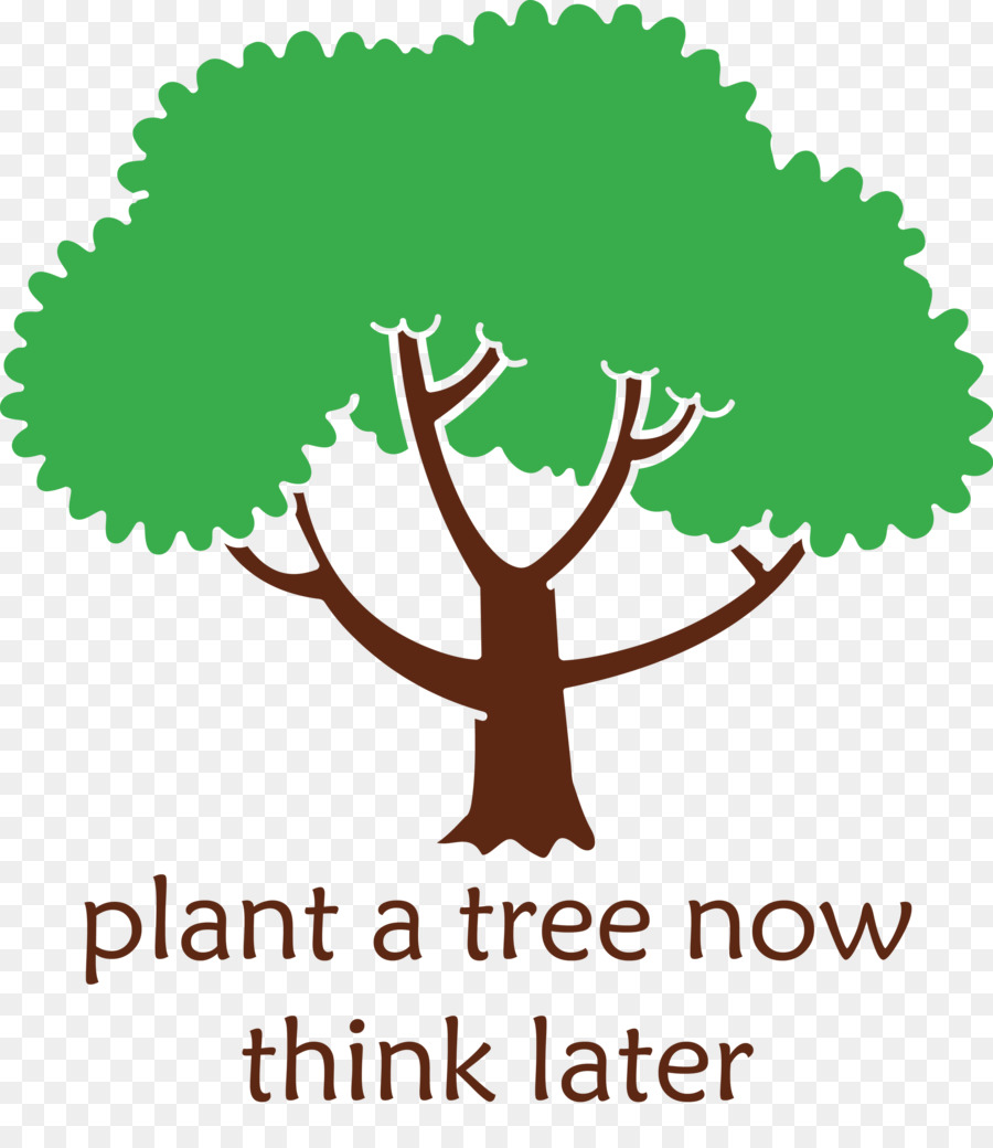 árbol Con Hojas，Planta PNG