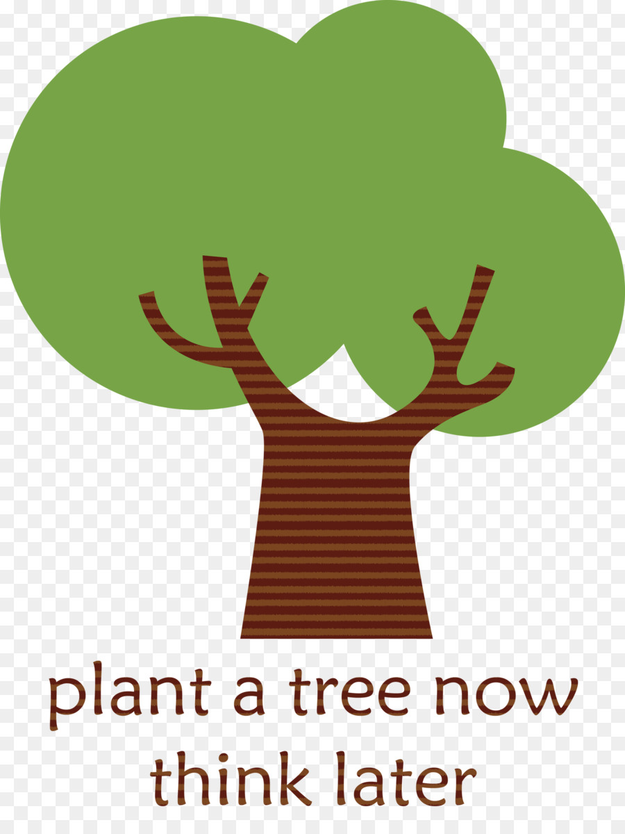 árbol Con Hojas，Planta PNG