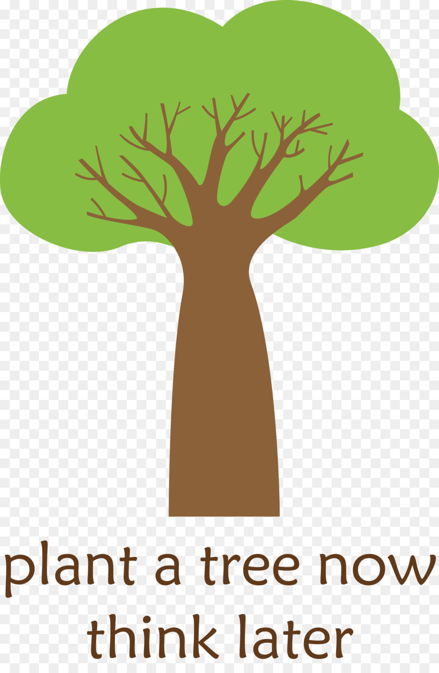 árbol Con Hojas，Planta PNG