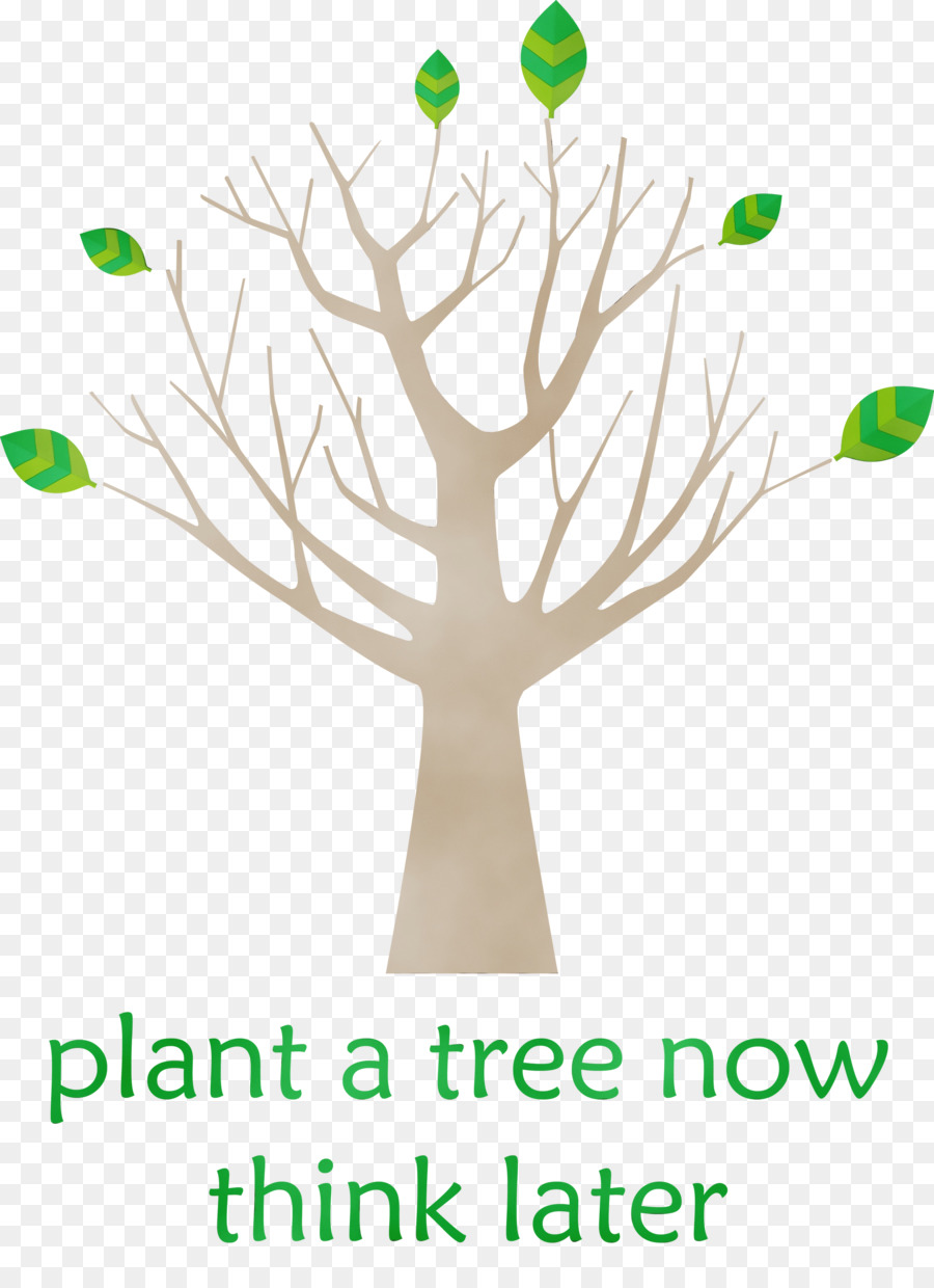 Árbol，árbol De Frondosas PNG