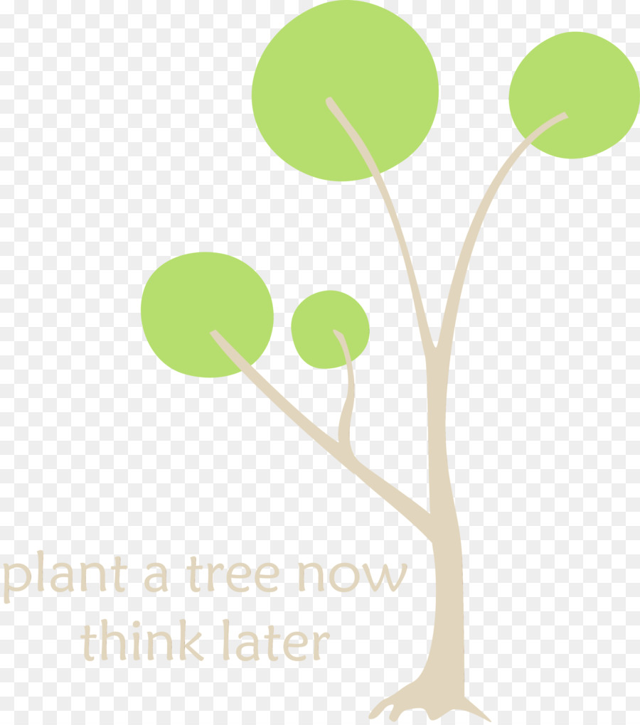 árbol Con Hojas，Planta PNG