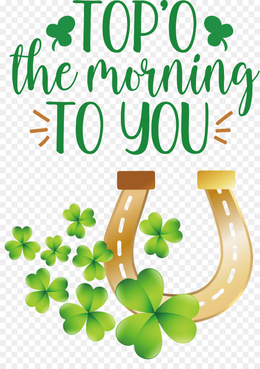 El Día De San Patricio，Shamrock PNG