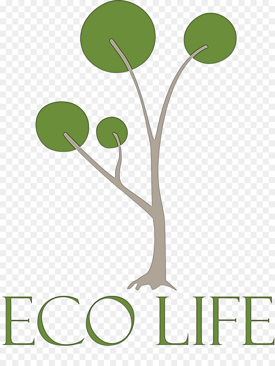 Árbol，Ecológico PNG