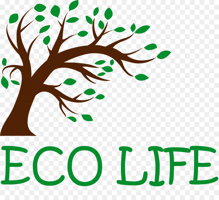 Árbol，Ecológico PNG