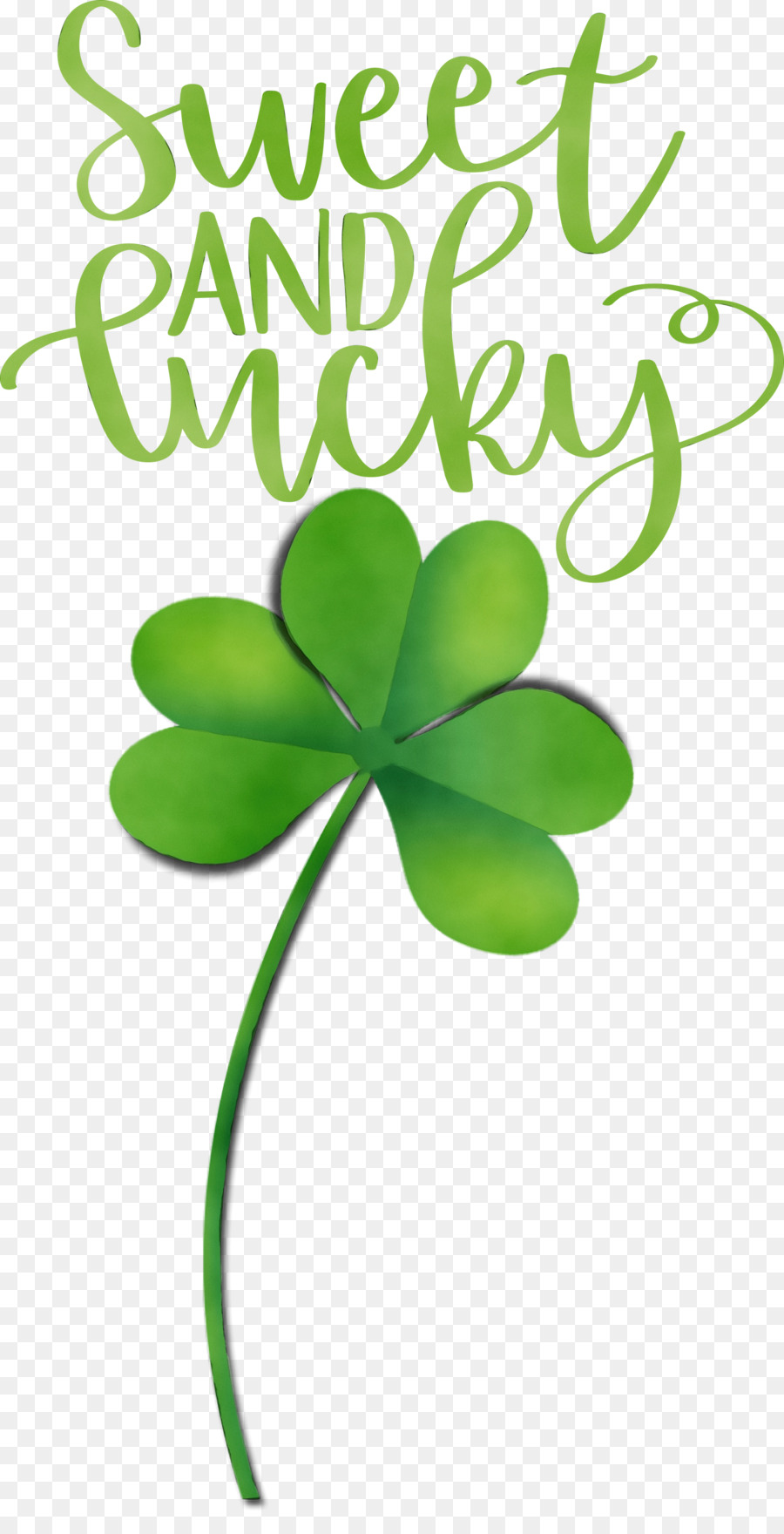 Trébol De Cuatro Hojas，Shamrock PNG