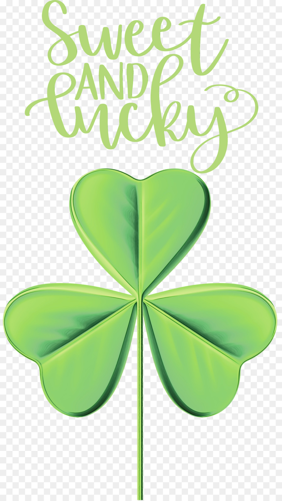 Hoja，Shamrock PNG