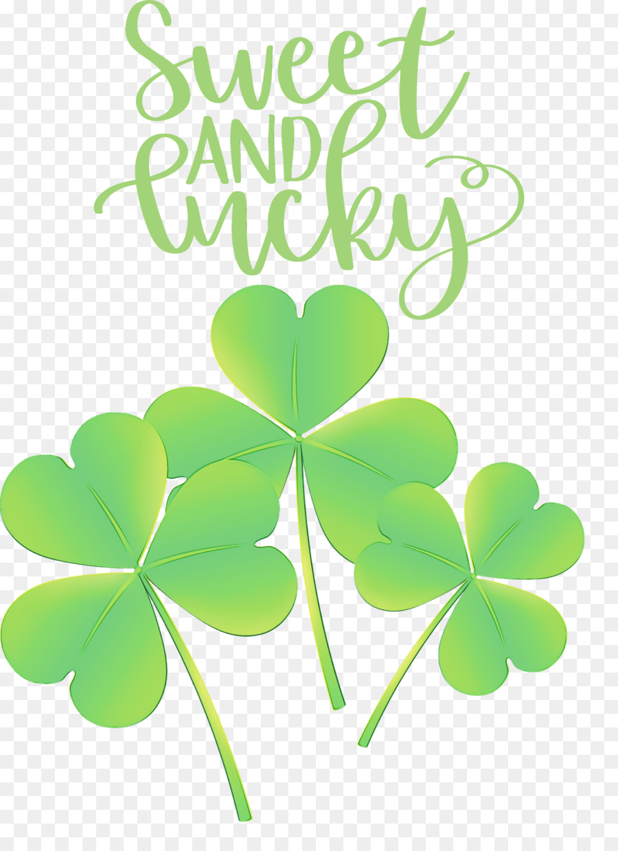 Hoja，Shamrock PNG