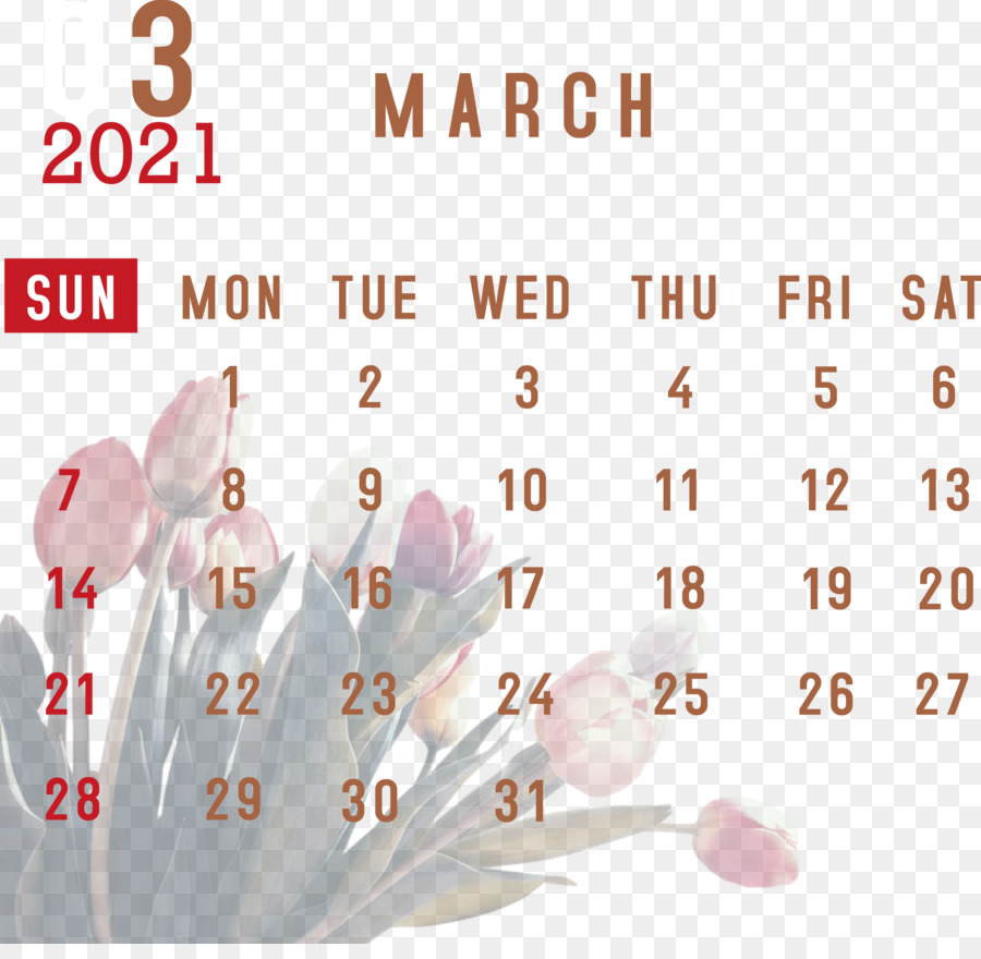 Calendario Marzo 2021，Fechas PNG