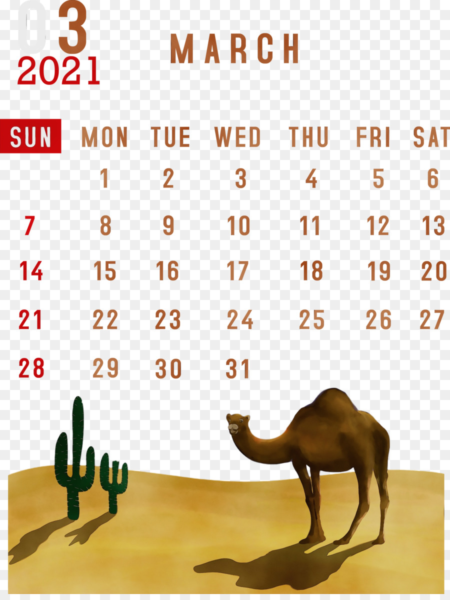 Calendario Lunar，Medidor De PNG