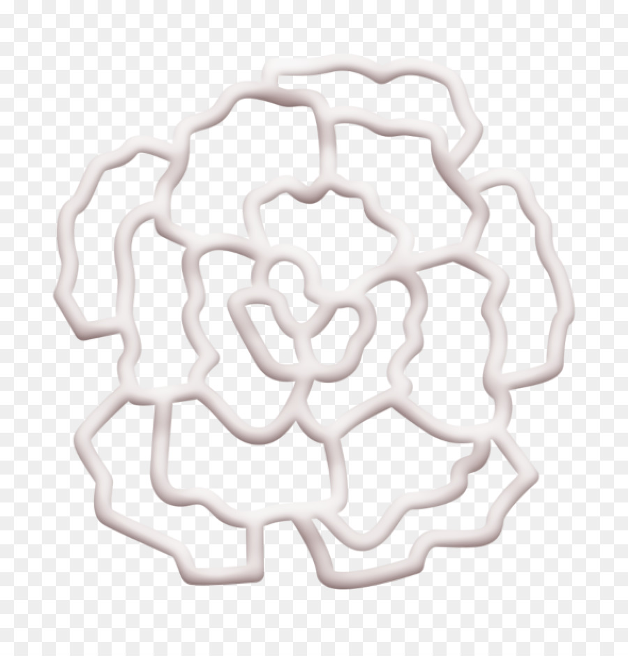 Contorno De Flores，Diseño PNG